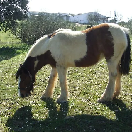 El Chorrillo Holiday home