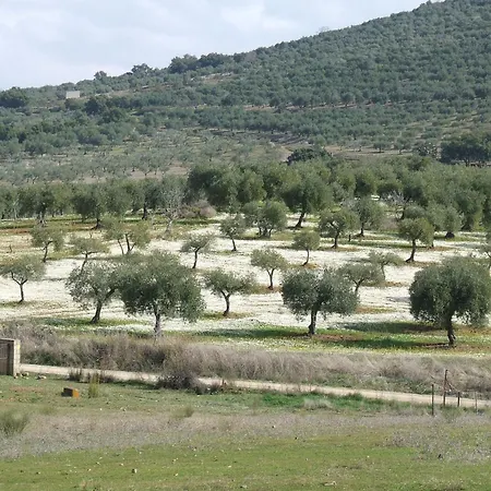 Holiday home El Chorrillo *