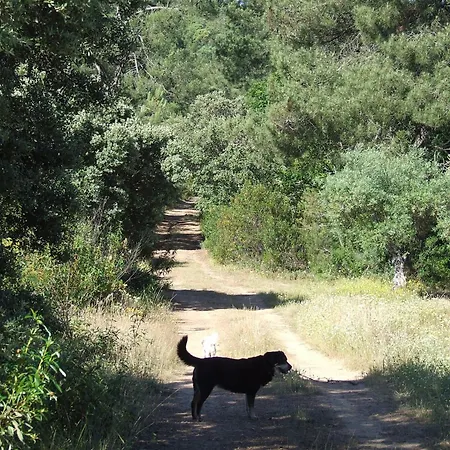 El Chorrillo Holiday home